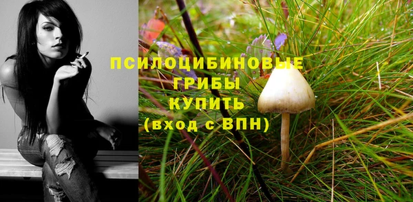 МДПВ Гусев