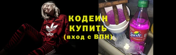 шишки Гусь-Хрустальный