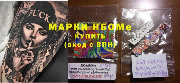 шишки Гусь-Хрустальный