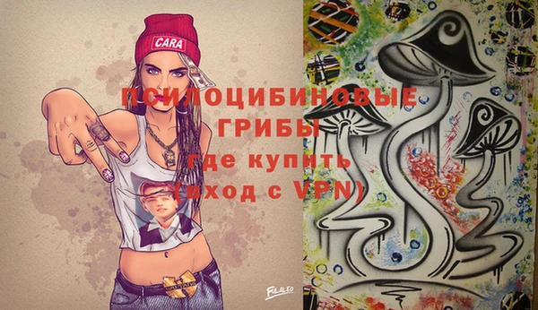 бутират Горняк
