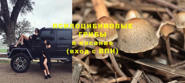 а пвп мука Горно-Алтайск