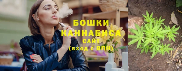 ПСИЛОЦИБИНОВЫЕ ГРИБЫ Вязьма