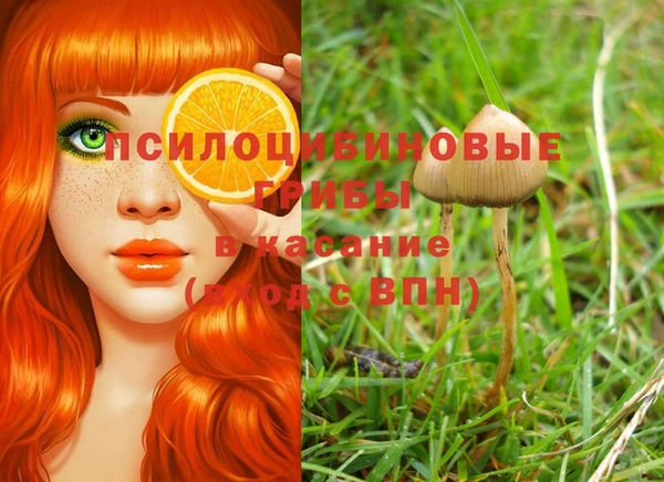 хмурый Горнозаводск