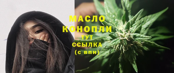 шишки Гусь-Хрустальный