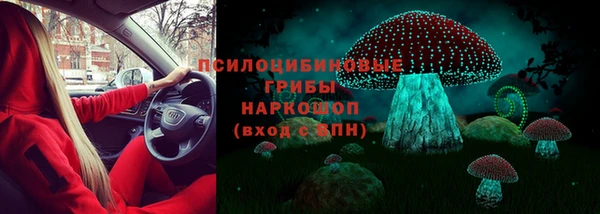 хмурый Горнозаводск